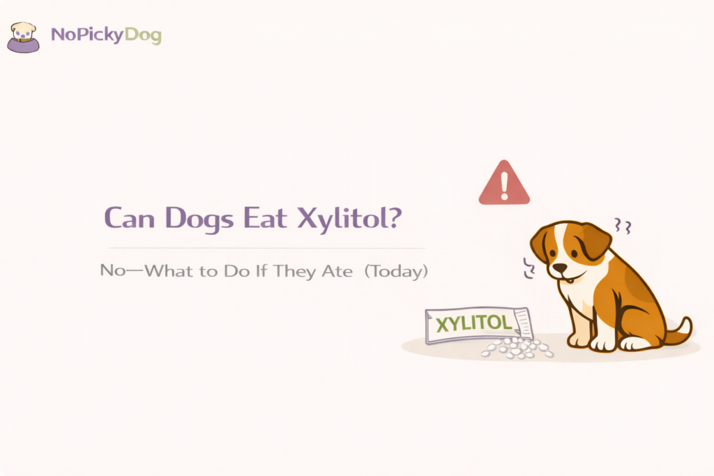 NoPickyDog cover style, minimalist flat vector, warm light-cream background + subtle grain, friendly dog + food bowl, icons: “sugar-free gum” + warning triangle, clean shapes, soft shadow, no text/no watermark, 16:9.