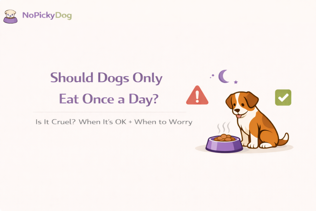 Decision checklist for once-a-day feeding: when it’s OK vs when to worry