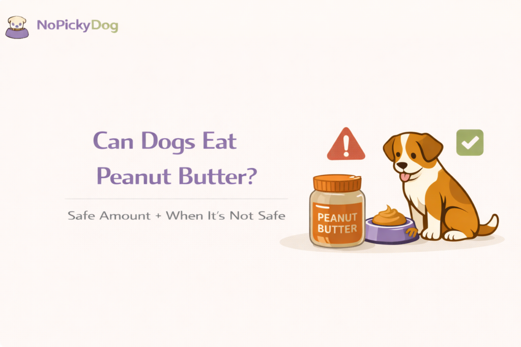 Peanut butter safety checklist for dogs: what to avoid on the label